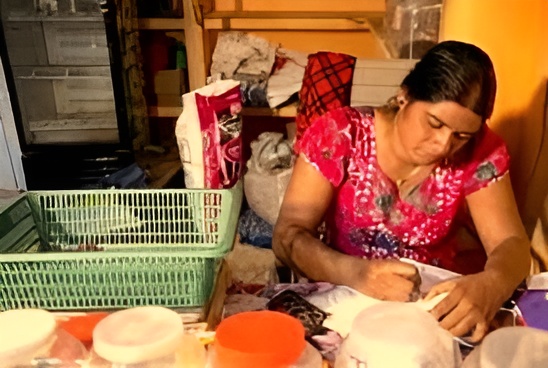 2. economic empowerment – singal mothers iii (1)