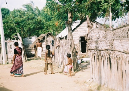 The saltern 01 camp in puttalam