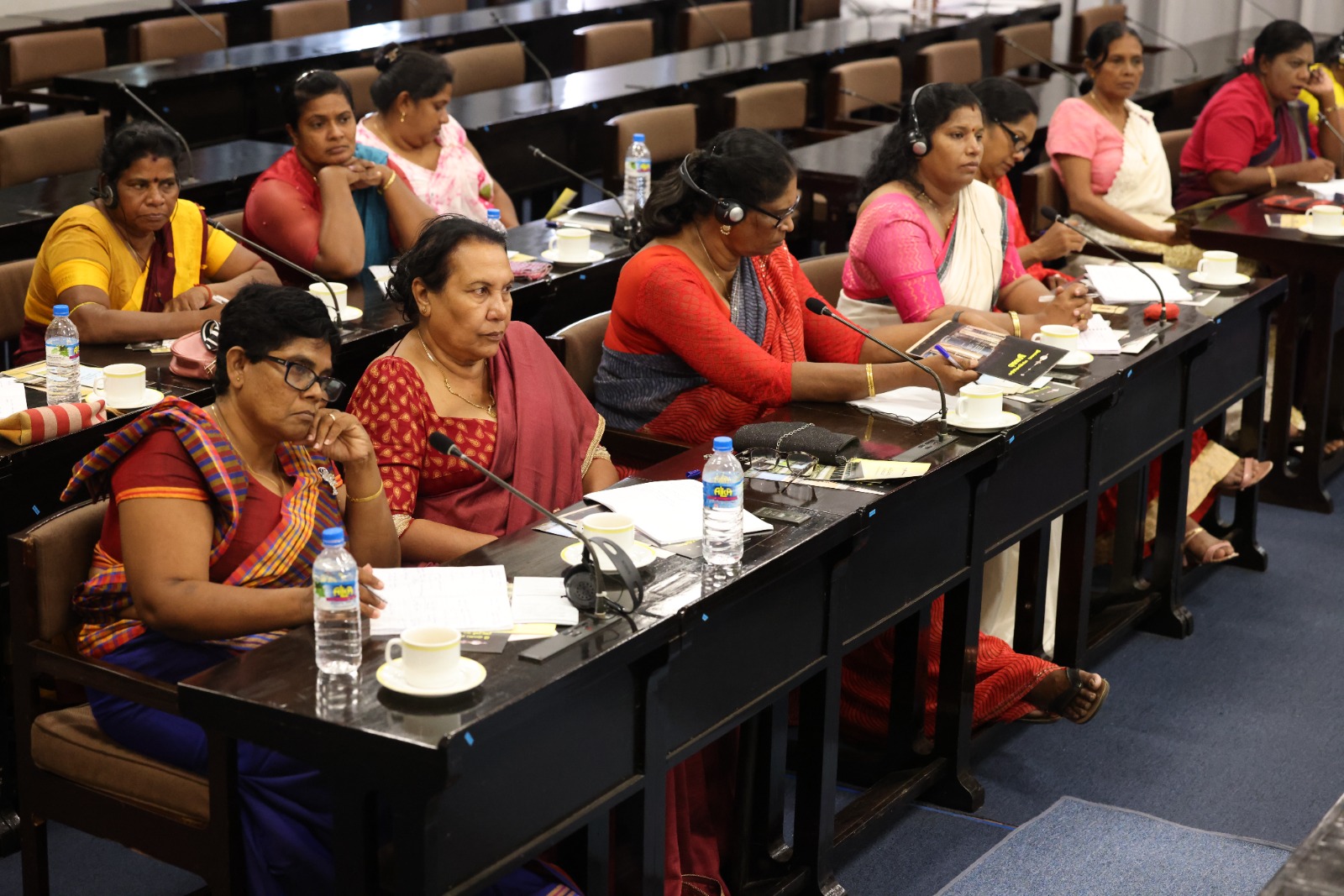 promoting women's political participation